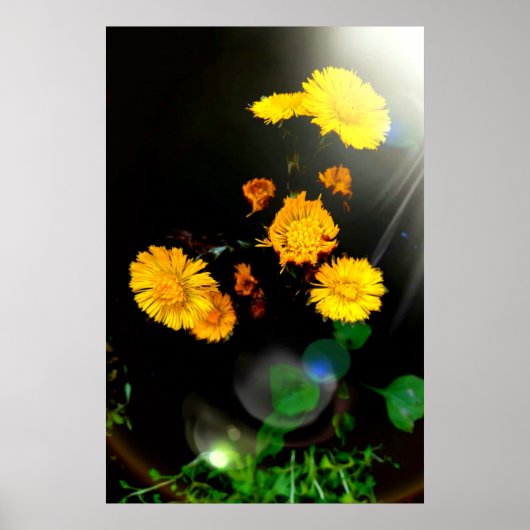 Wilde bloemen in de zon poster (Voorkant)