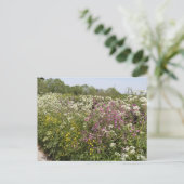 Wilde bloemen in een bermheg in Herefordshire Briefkaart (Staand voorkant)