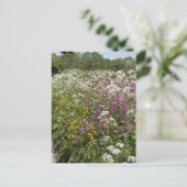 Wilde bloemen in een heg Herefordshire Engeland Briefkaart (Staand voorkant)