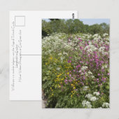 Wilde bloemen in een heg Herefordshire Engeland Briefkaart (Voorkant / Achterkant)