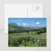 Wilde bloemen in geborste boter briefkaart (Voorkant / Achterkant)