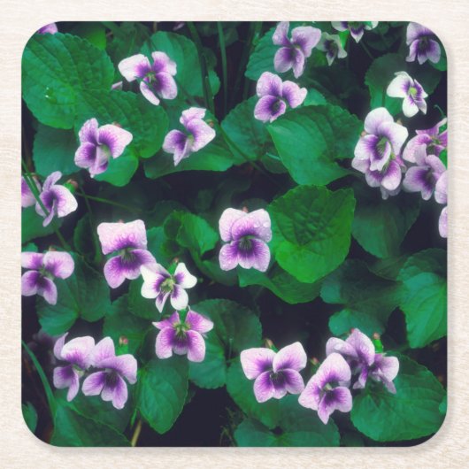 Wilde bloemen in het bos kartonnen onderzetters (Voorkant)