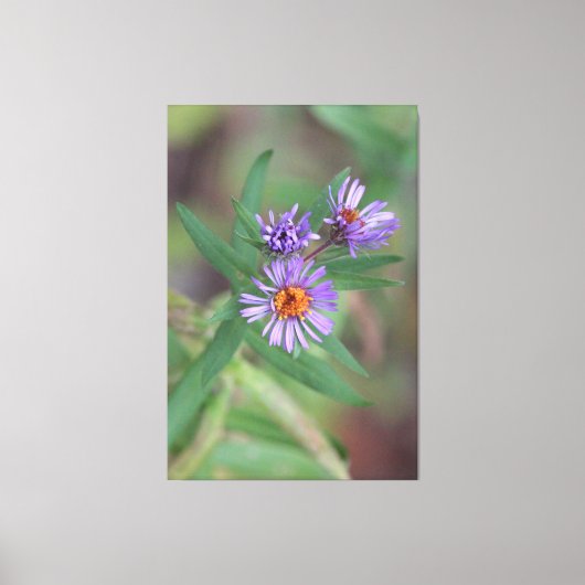 Wilde bloemen in het Paarse Canvas Afdruk (Voorkant)