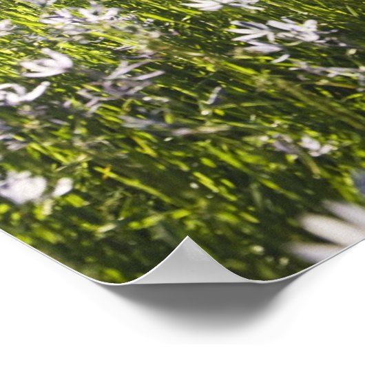 Wilde bloemen in het veld poster (Hoek)