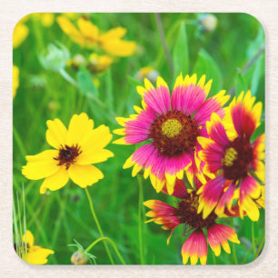 Wilde bloemen in Prairie in Hill Country Kartonnen Onderzetters
