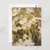 Wilde bloemen in Sepia Briefkaart (Voorkant / Achterkant)