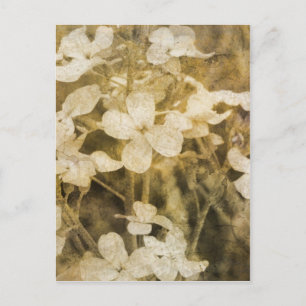 Wilde bloemen in Sepia Briefkaart