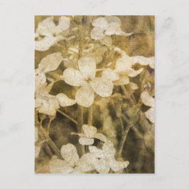 Wilde bloemen in Sepia Briefkaart