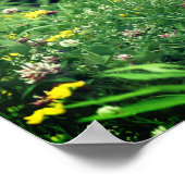 Wilde bloemen in veld 2 Bloem Poster (Hoek)