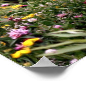 Wilde bloemen in veldfotografie poster (Hoek)