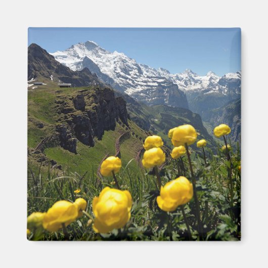 Wilde bloemen Jungfrau regio Magneet (Voorkant)