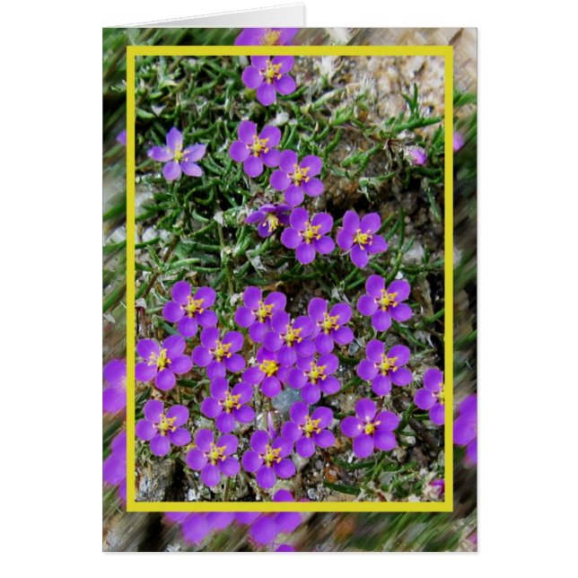 Wilde bloemen Kaart (Voorkant)