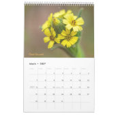 Wilde bloemen kalender (Mar 2027)