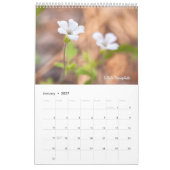 Wilde bloemen kalender (Jan 2027)