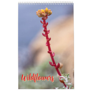 Wilde bloemen kalender