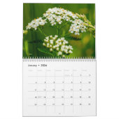 Wilde bloemen kalender (Jan 2026)
