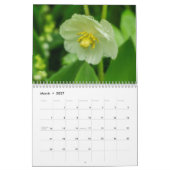 Wilde bloemen kalender (Mar 2027)
