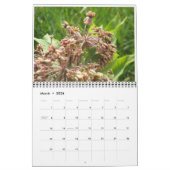 Wilde bloemen kalender (Mar 2026)