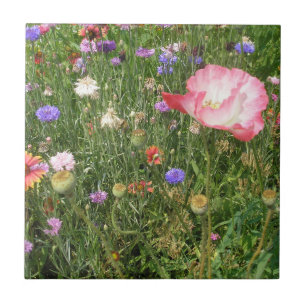Wilde bloemen keramische Tegel Tegeltje