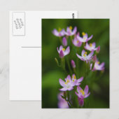 Wilde bloemen Kunstfoto's Briefkaart (Voorkant / Achterkant)