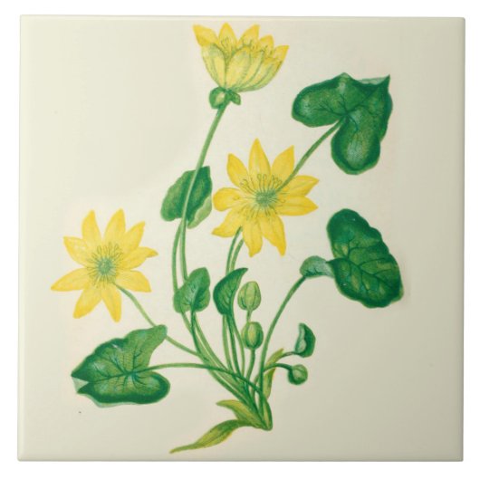 Wilde bloemen Land Kitchen Ceramic Tile Celandine Tegeltje (Voorkant)