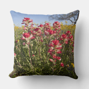 Wilde bloemen langs de weg in Texas, lente Kussen
