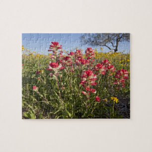 Wilde bloemen langs de weg in Texas, lente Legpuzzel