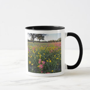 Wilde bloemen langs de weg in Texas, lente Mok