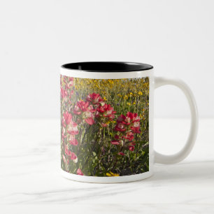 Wilde bloemen langs de weg in Texas, lente Tweekleurige Koffiemok