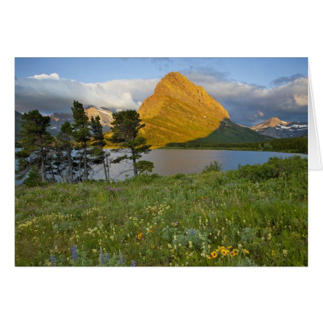 Wilde bloemen langs Swiftcurrent Lake in de Many (Voorkant Horizontaal)