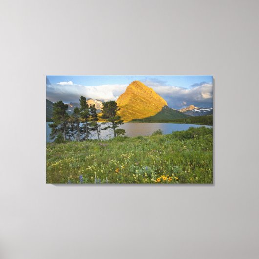 Wilde bloemen langs Swiftcurrent Lake in de Many Canvas Afdruk (Voorkant)