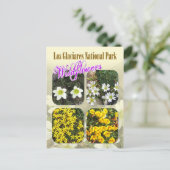 Wilde bloemen, Los Glaciares National Park Briefkaart (Staand voorkant)