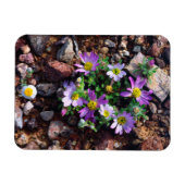 Wilde bloemen magneet (Horizontaal)