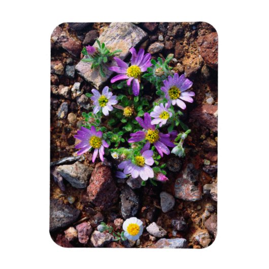 Wilde bloemen magneet (Verticaal)