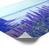 Wilde bloemen Maine Lupine Flowers Poster (Hoek)