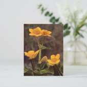 Wilde bloemen: Marsh Marigold Briefkaart (Staand voorkant)