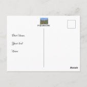 Wilde bloemen met Madeliefjes Ansichtkaart Briefkaart (Achterkant)