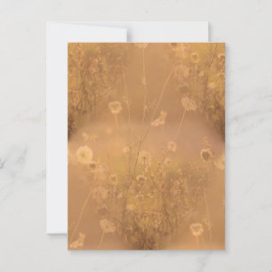 Wilde bloemen met Oranje gloed Briefkaart