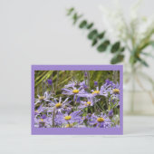 Wilde bloemen: Michaelmas Daisies DIY Briefkaart (Staand voorkant)