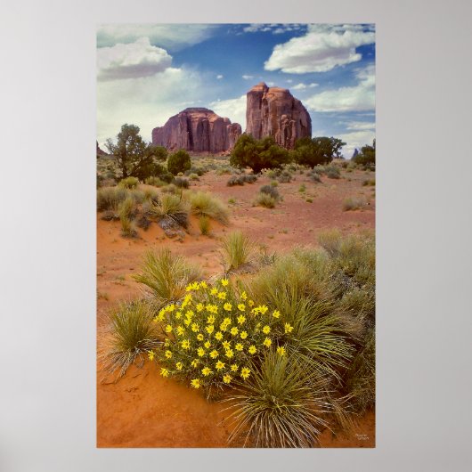 Wilde bloemen - Monument Valley - Arizona Poster (Voorkant)