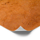 Wilde bloemen - Monument Valley - Arizona Poster (Hoek)