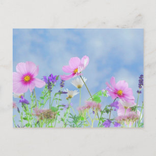 Wilde bloemen, Natuur schoonheid Briefkaart