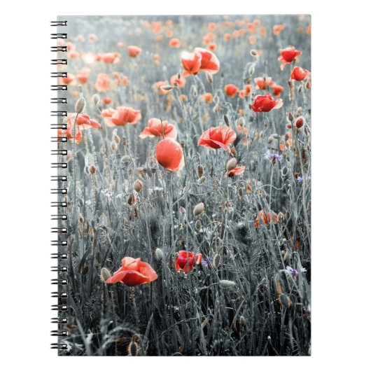 Wilde bloemen notitieboek (Voorkant)