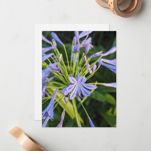 Wilde bloemen notitiekaartje (Voorkant / Achterkant in situ)