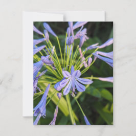 Wilde bloemen notitiekaartje