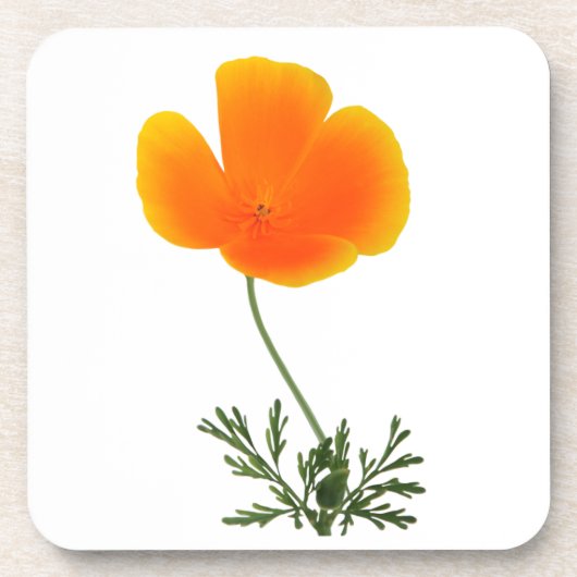 wilde bloemen onderzetter (Voorkant)