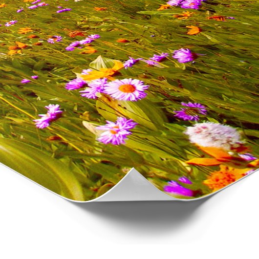 Wilde bloemen op bergweide - Geel Paars Poster (Hoek)