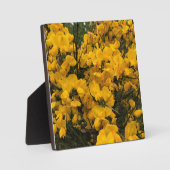Wilde bloemen op het spoor, Oregon Fotoplaat (Voorkant)