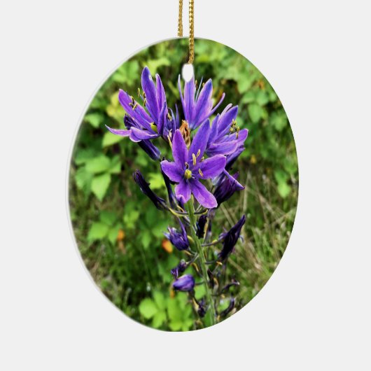 Wilde bloemen op het spoor, Oregon Keramisch Ornament (Rechts)