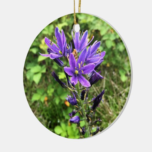 Wilde bloemen op het spoor, Oregon Keramisch Ornament (Links)